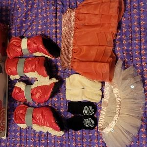 Small dog accessories bundle!